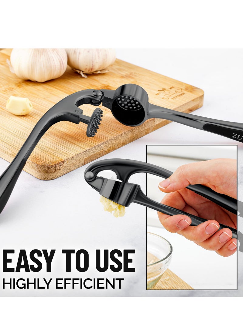 Premium Garlic Press, Rust Proof & Dishwasher Safe, Professional Garlic Mincer Tool with Soft Ergonomic Handle, Easy-Squeeze and Easy-Clean, Efficient Ginger Crusher