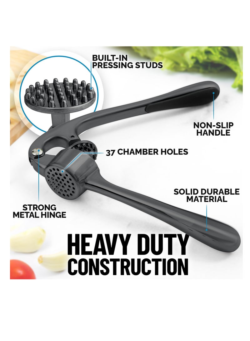 Premium Garlic Press, Rust Proof & Dishwasher Safe, Professional Garlic Mincer Tool with Soft Ergonomic Handle, Easy-Squeeze and Easy-Clean, Efficient Ginger Crusher