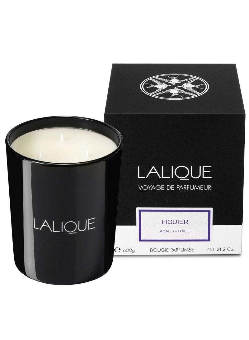 Lalique Candle 600 g Figuier