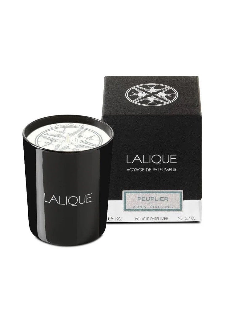 Lalique Candle 190g Peuplier Aspen