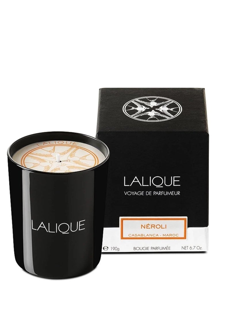 Lalique Candle 190g Casablanca