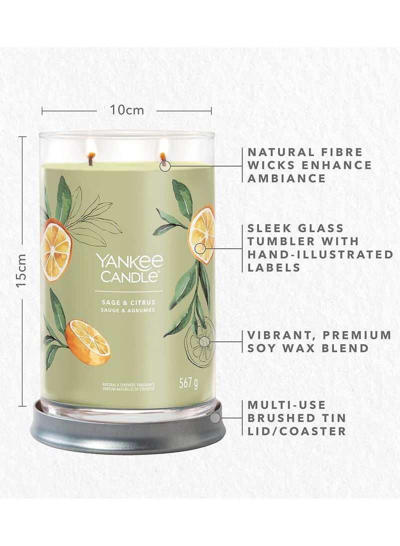 Sage & Citrus Natural & Synthetic Fragrance 567 G