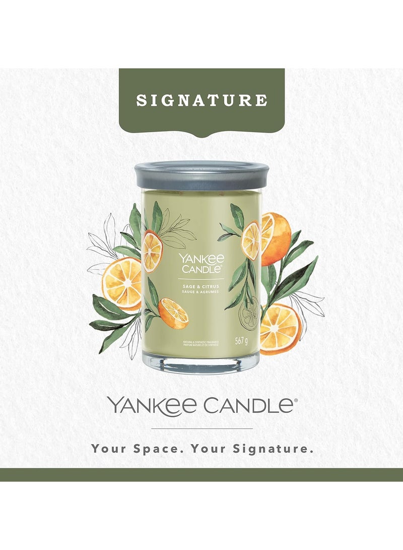 Sage & Citrus Natural & Synthetic Fragrance 567 G