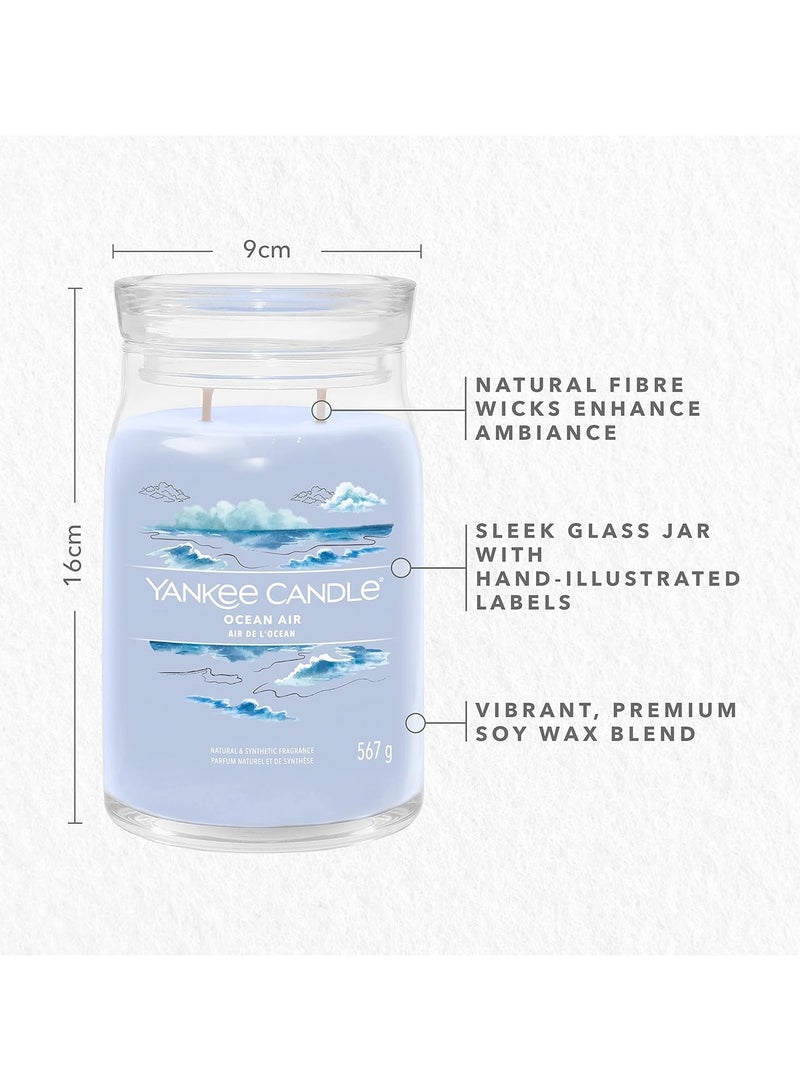 Ocean Air Natural & Synthetic Fragrance 567 G