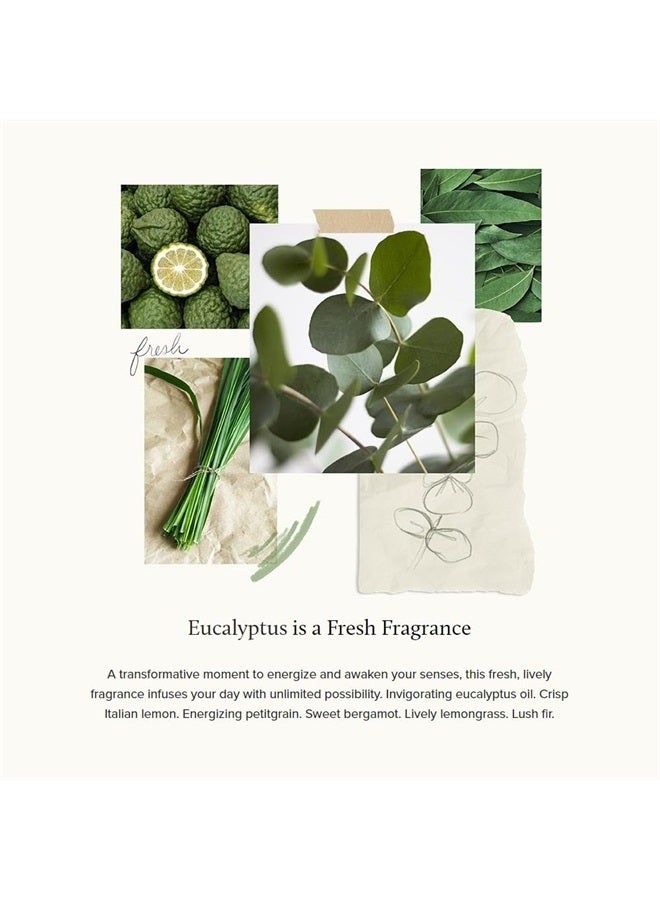 Fragrance Mist - Scented Room Spray for Home Fragrance - Eucalyptus - 3 oz
