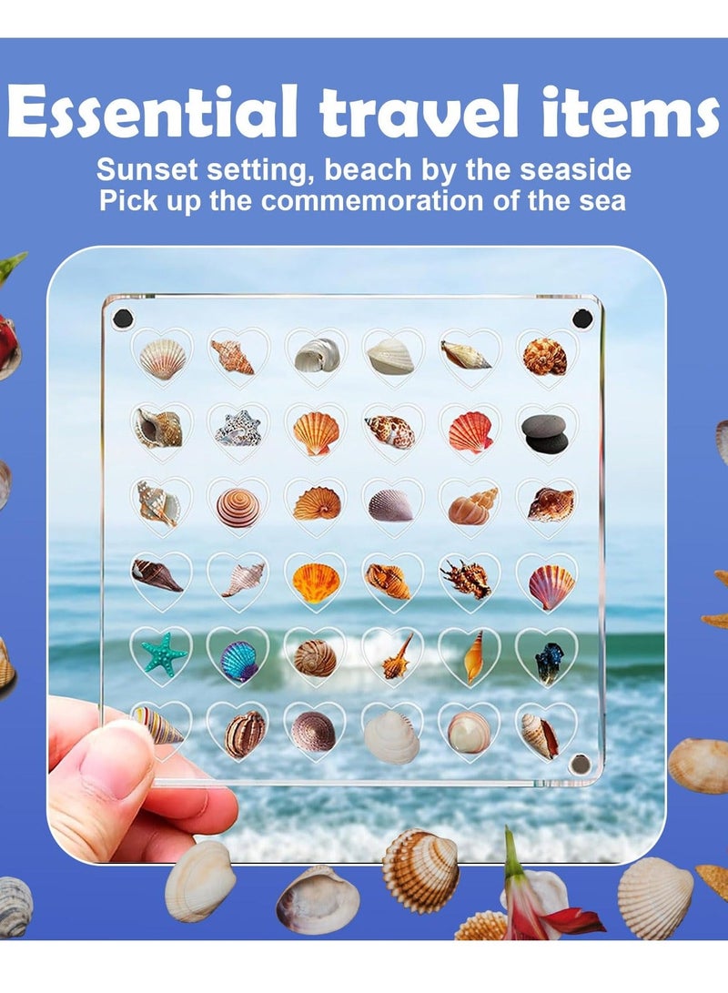 36 Grids Heart Clear Acrylic Shadow Boxes, Mini Seashell Collection Display Box, Acrylic Magnetic Seashell Storage Box, Clear Acrylic Diamond Gemstone Beads Display Organizer