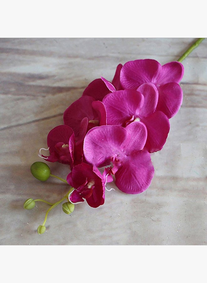Single Piece Artificial Butterfly Orchid Flower Pink/Green 80cm