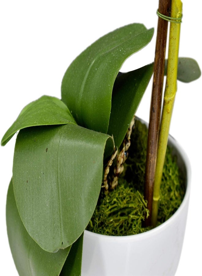 Orchid Plant Artificial Flower Party Wedding Decoration, Flowers - White