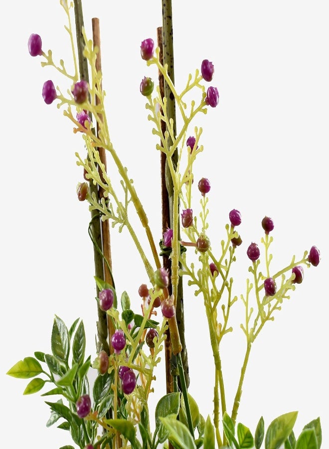 Yatai Flowers Phalaenopsis Orchid Plants