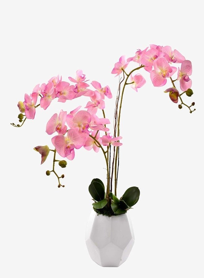 Artificial Plant With Ceramic Vase