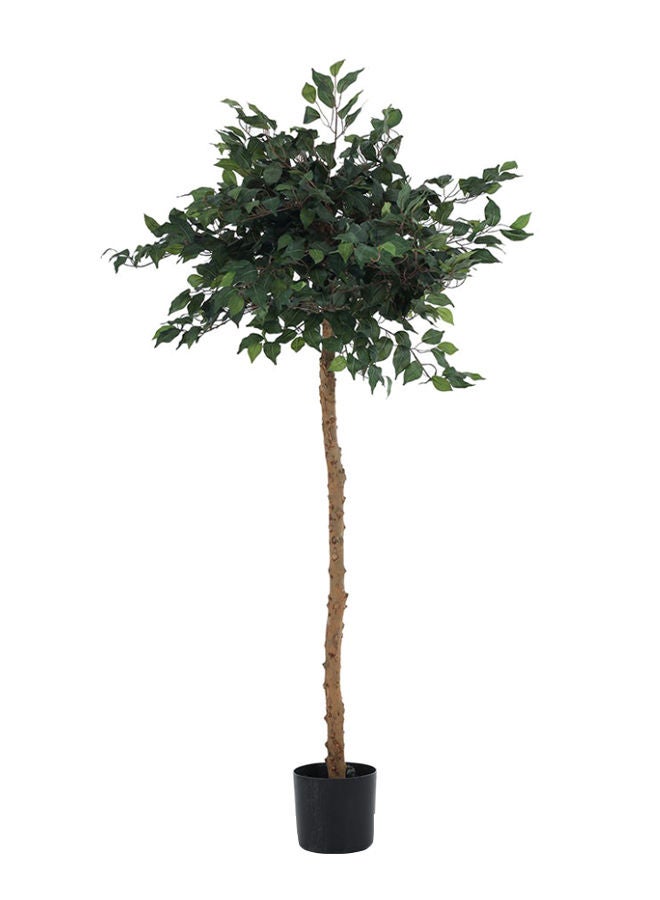 Topiary Ficus Artificial Tree with Pot, Green/Black 170 cm