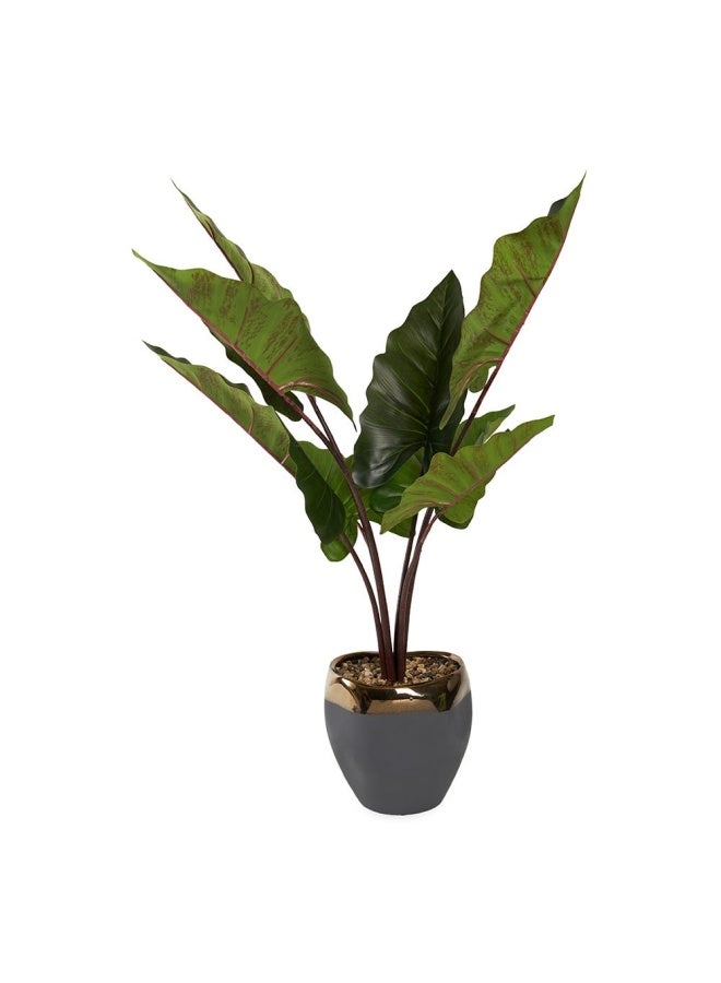 105Cm Treeincrmc Pot5858105Grn