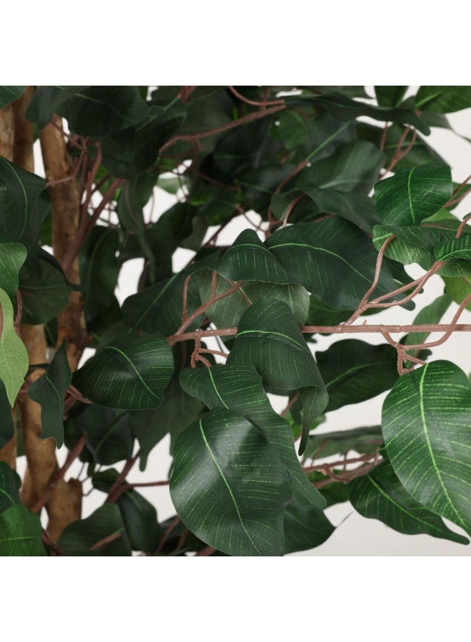 Curvy Ficus Artificial Tree, Green – 183 Cm