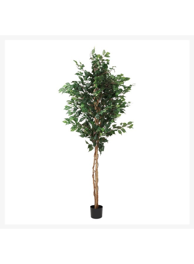 Curvy Ficus Artificial Tree, Green – 183 Cm