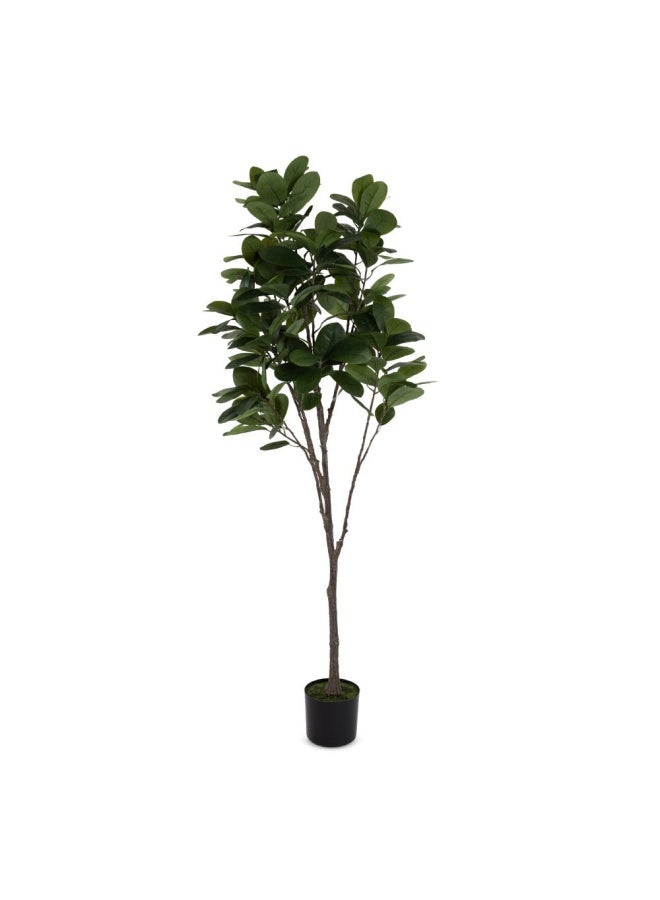 Artificial Rubber Tree, Green - 196 Cm