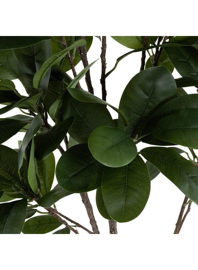 Artificial Rubber Tree, Green - 196 Cm
