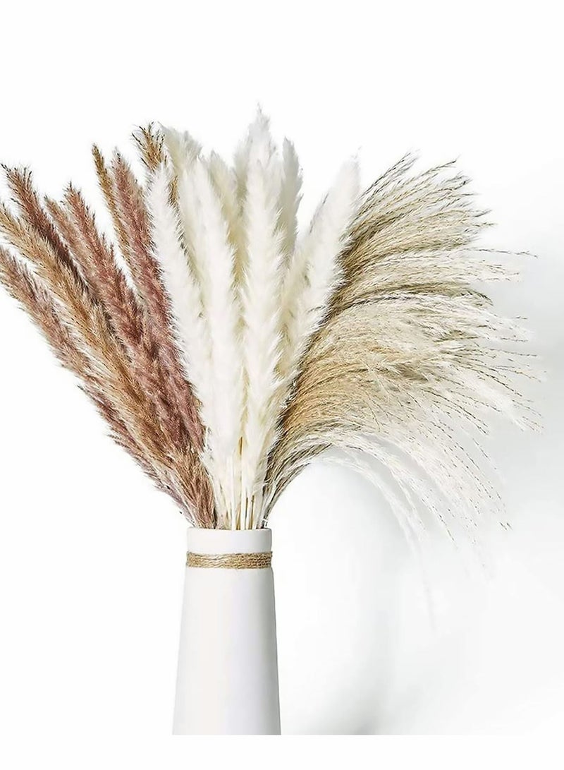 Dried Pampas Grass 60 Pcs Boho Natural Flowers Arrangements White Reed Bunny Tails for Home Decor Flower Living Room Balcony Wedding Party