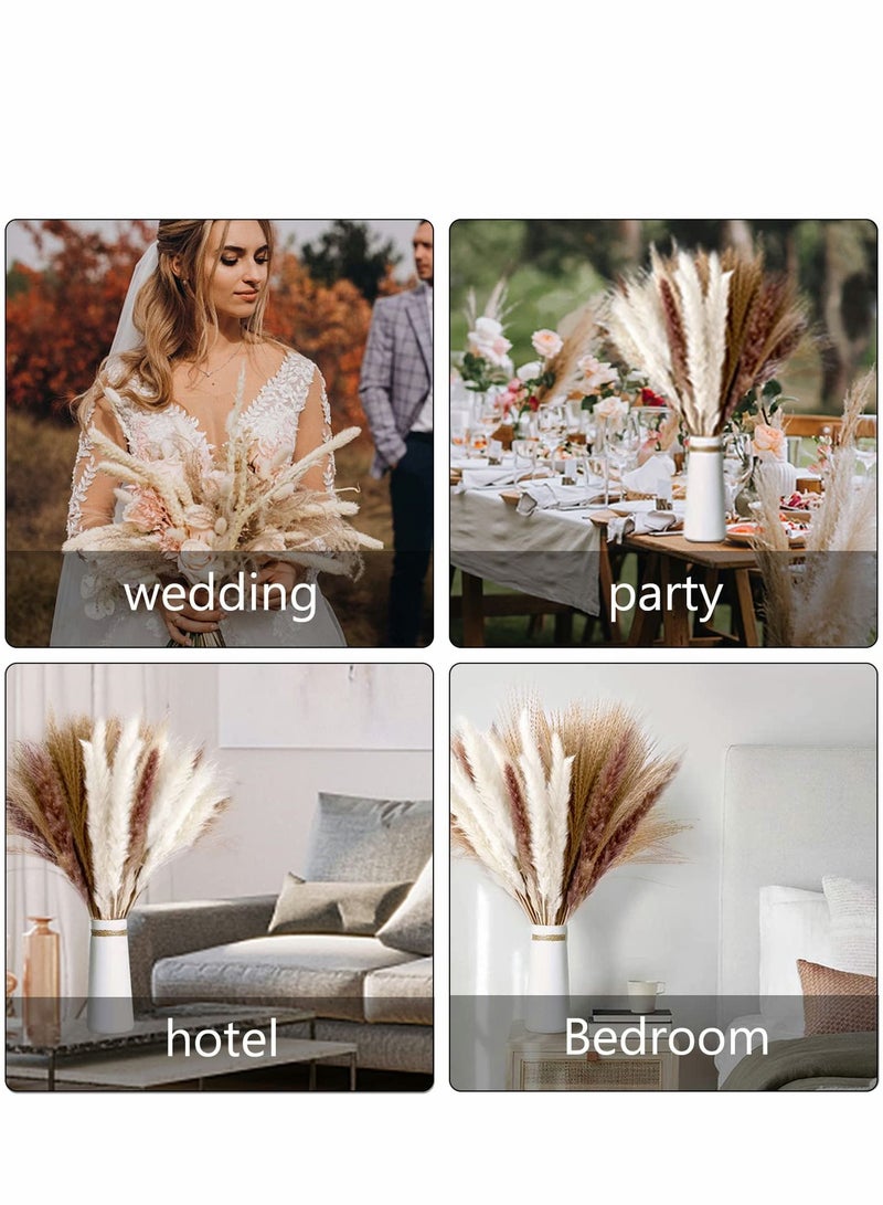 Dried Pampas Grass 60 Pcs Boho Natural Flowers Arrangements White Reed Bunny Tails for Home Decor Flower Living Room Balcony Wedding Party