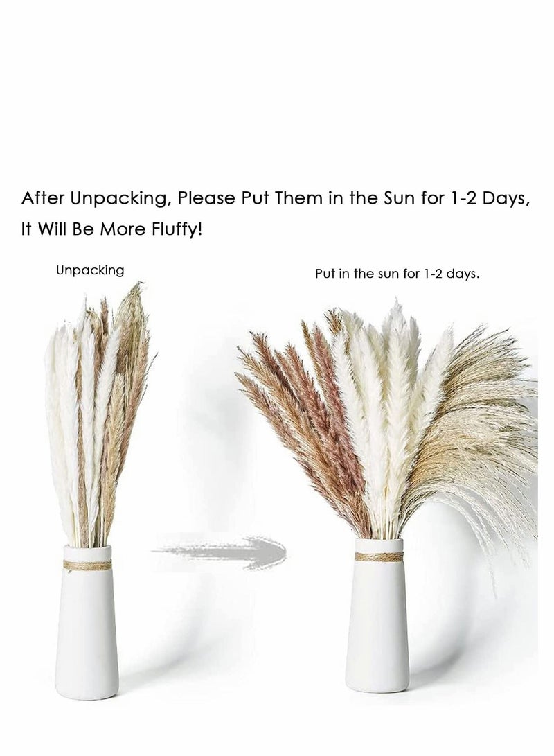 Dried Pampas Grass 60 Pcs Boho Natural Flowers Arrangements White Reed Bunny Tails for Home Decor Flower Living Room Balcony Wedding Party