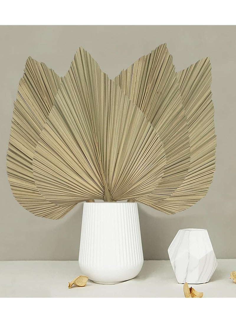 Dried Palm Leaves, 4PCS Natural Dried Palm Fans, 18