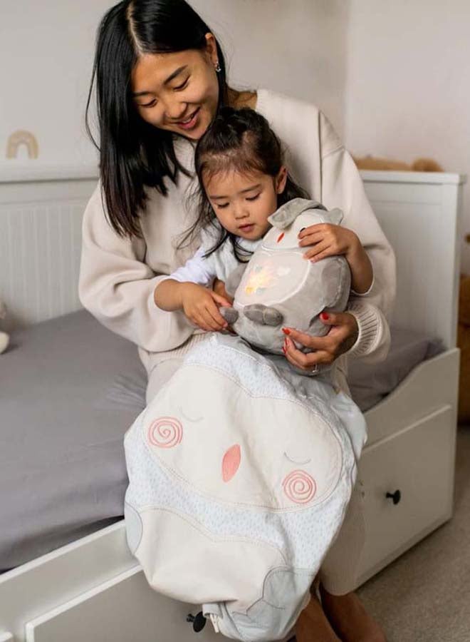 Baby Sleep Bag, The Original Grobag, Hip-Healthy Design, Soft Cotton-Rich Fabric, 6-18M, 1.0 Tog, Ollie The Owl Gro Friend