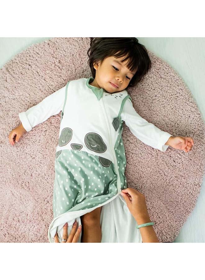 Baby Sleep Bag, The Original Grobag, Hip-Healthy Design, Soft Cotton-Rich Fabric, 6-18M, 1.0 Tog, Ollie The Owl Gro Friend