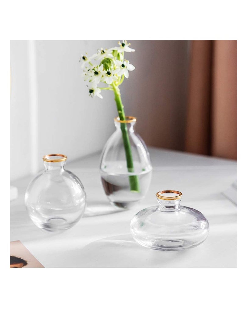 Set of 3 Glass Bud Vase Set - Clear with Gold Rim | Mini Glass Flower Vase for Floral Arrangements | Centerpiece for Home Office, Wedding, Events, Table Decor | Gifting