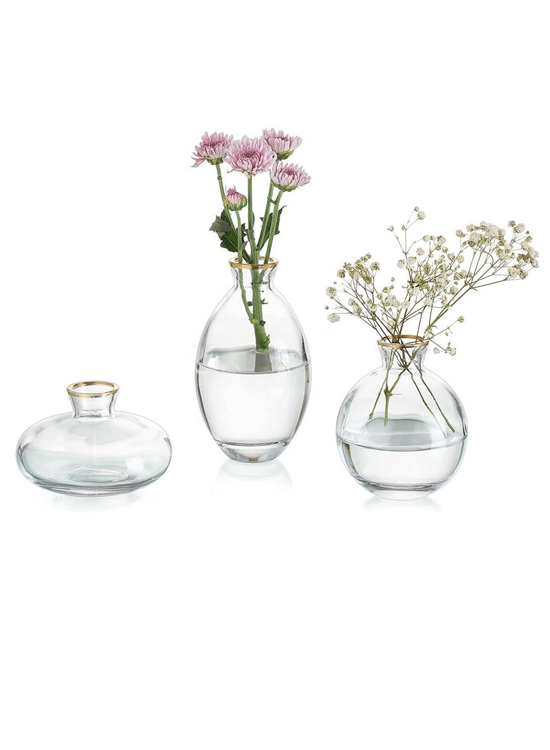 Set of 3 Glass Bud Vase Set - Clear with Gold Rim | Mini Glass Flower Vase for Floral Arrangements | Centerpiece for Home Office, Wedding, Events, Table Decor | Gifting