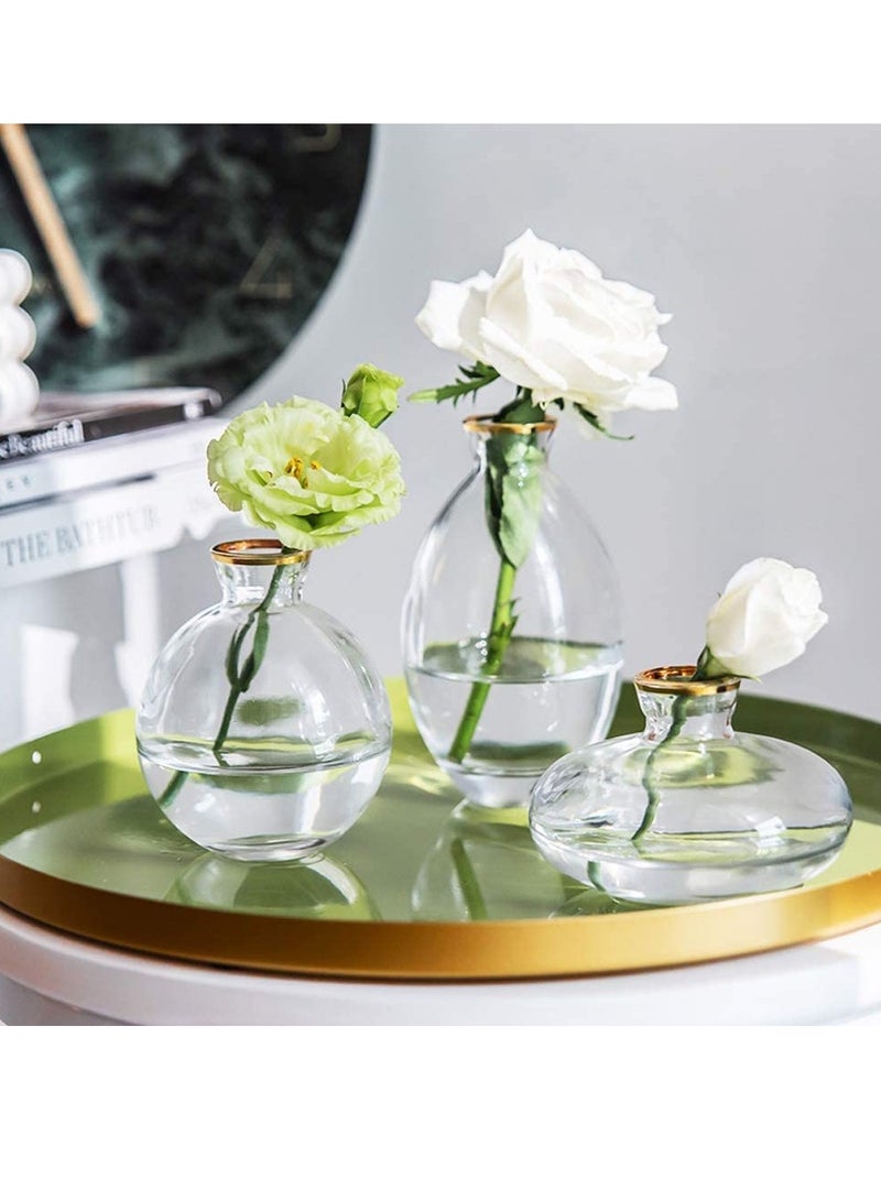 Set of 3 Glass Bud Vase Set - Clear with Gold Rim | Mini Glass Flower Vase for Floral Arrangements | Centerpiece for Home Office, Wedding, Events, Table Decor | Gifting