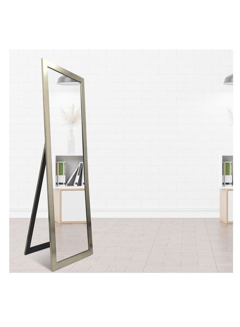 Full Length Stand Mirror Large Rectangle for Bedroom and Floor PVC Thin Frame Silver Outer Size 48x148 cm