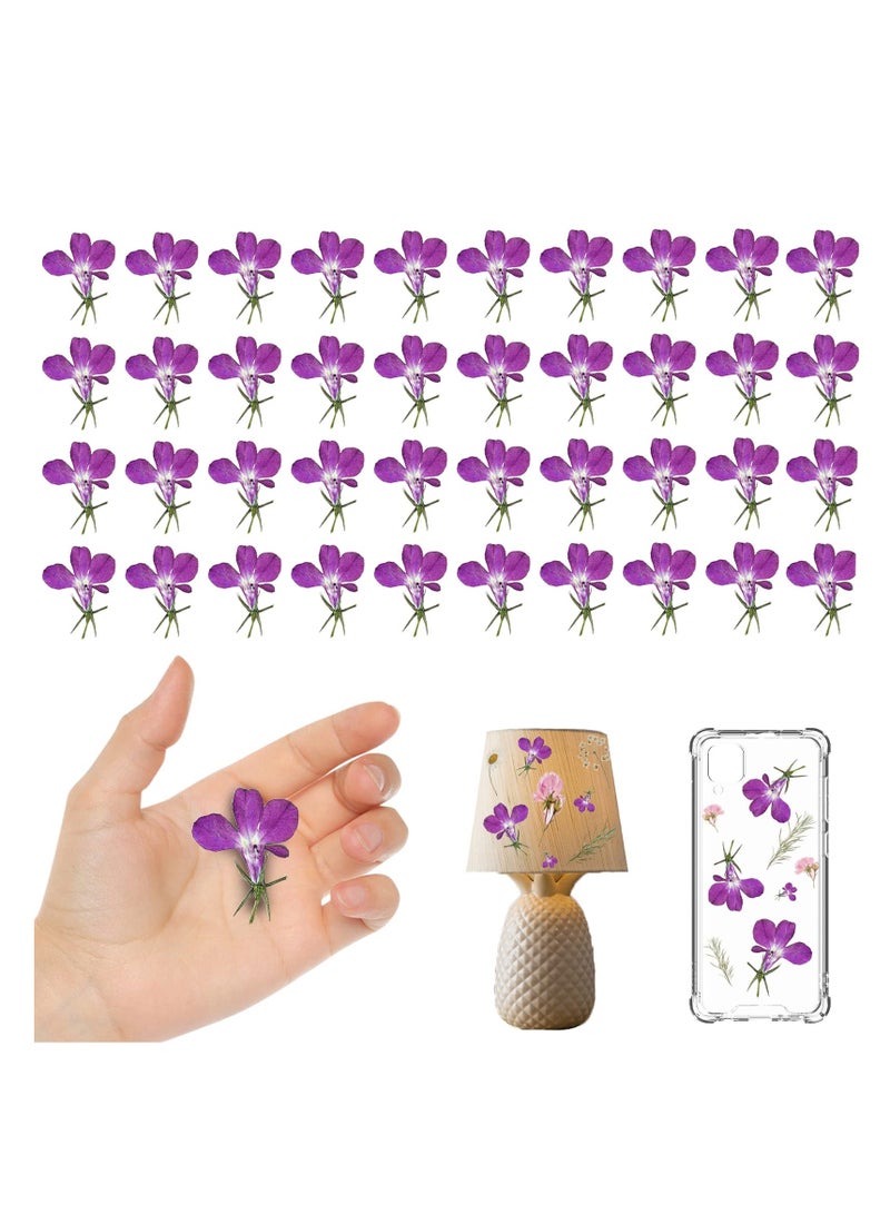 Purple Dried Flowers for Resin Crafts Embellishments, 60PCS Natural Pressed Dried Flowers for Resin Jewelry DIY Phone Case Decor Candle Making Decoration