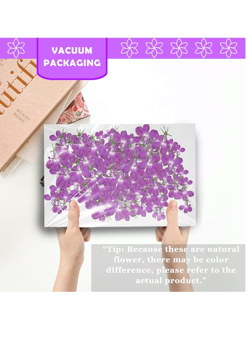 Purple Dried Flowers for Resin Crafts Embellishments, 60PCS Natural Pressed Dried Flowers for Resin Jewelry DIY Phone Case Decor Candle Making Decoration