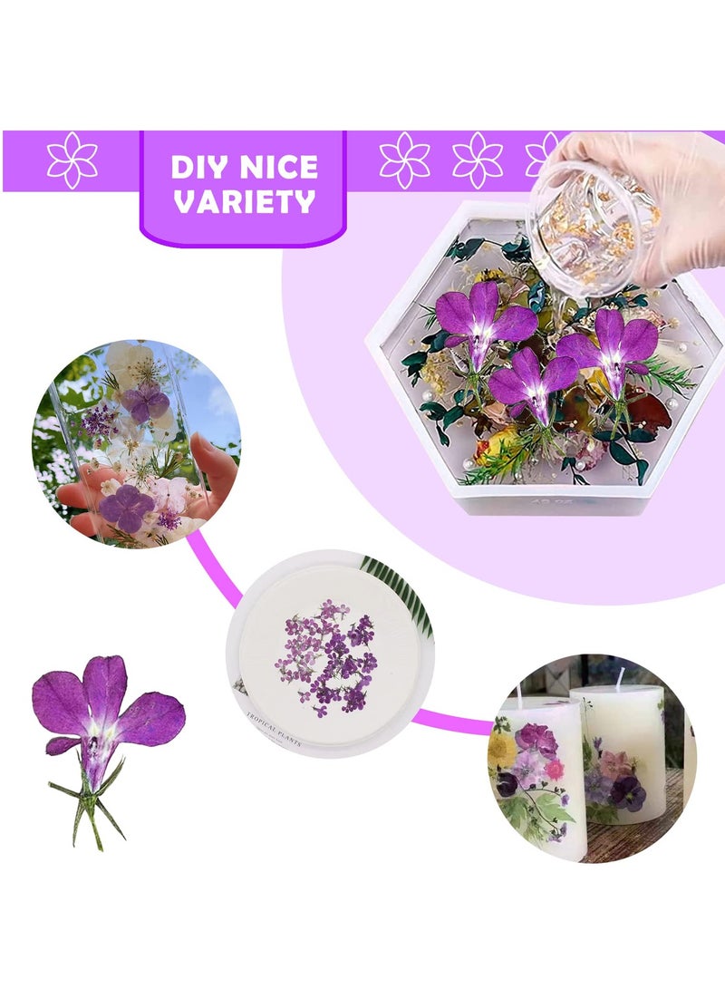 Purple Dried Flowers for Resin Crafts Embellishments, 60PCS Natural Pressed Dried Flowers for Resin Jewelry DIY Phone Case Decor Candle Making Decoration