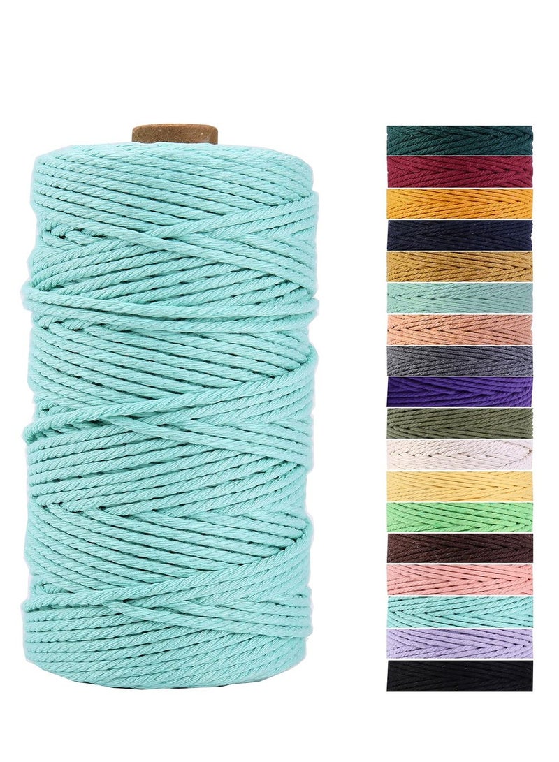 Light Blue Macrame Cord 3mm x 109 Yards, Colored Cotton Rope Craft Colorful Twine for Wall Hanging Plant Hangers Crafts Knitting Decorative Projects