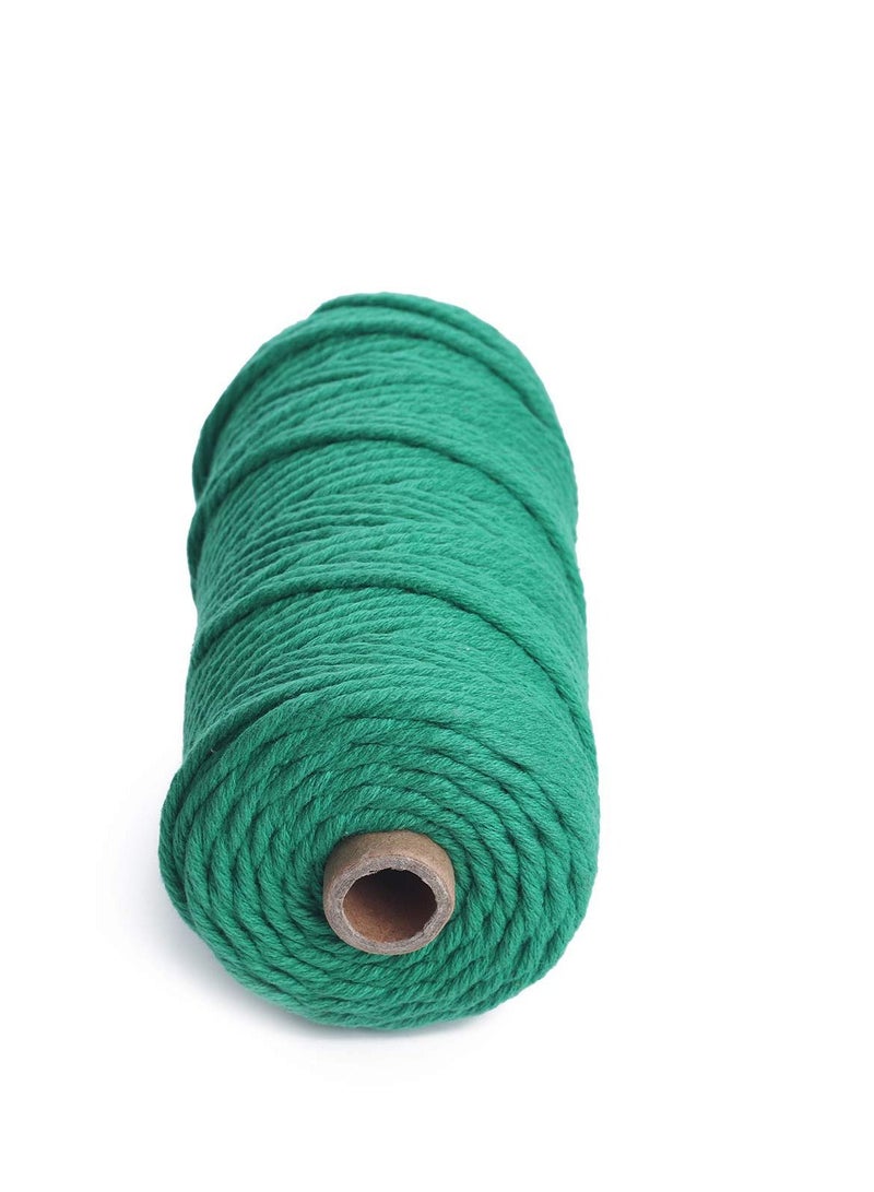 Natural Macrame Cotton Cord 3mm x 109 Yards Twine String Colored Rope Craft for DIY Crafts Knitting Plant Hangers