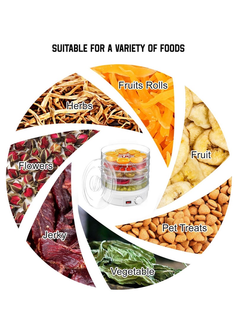 Fruit and Vegetable Dryer 5 Layers White Food Dehydrator Machine Freeze Dryer 70℃ Temperature Control 5 Bpa-Free Stackable Tray with Powerful Drying Capacity for Jerky Fruit