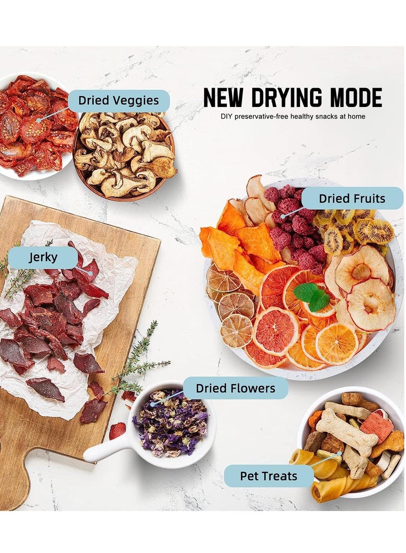 Fruit and Vegetable Dryer 5 Layers White Food Dehydrator Machine Freeze Dryer 70℃ Temperature Control 5 Bpa-Free Stackable Tray with Powerful Drying Capacity for Jerky Fruit