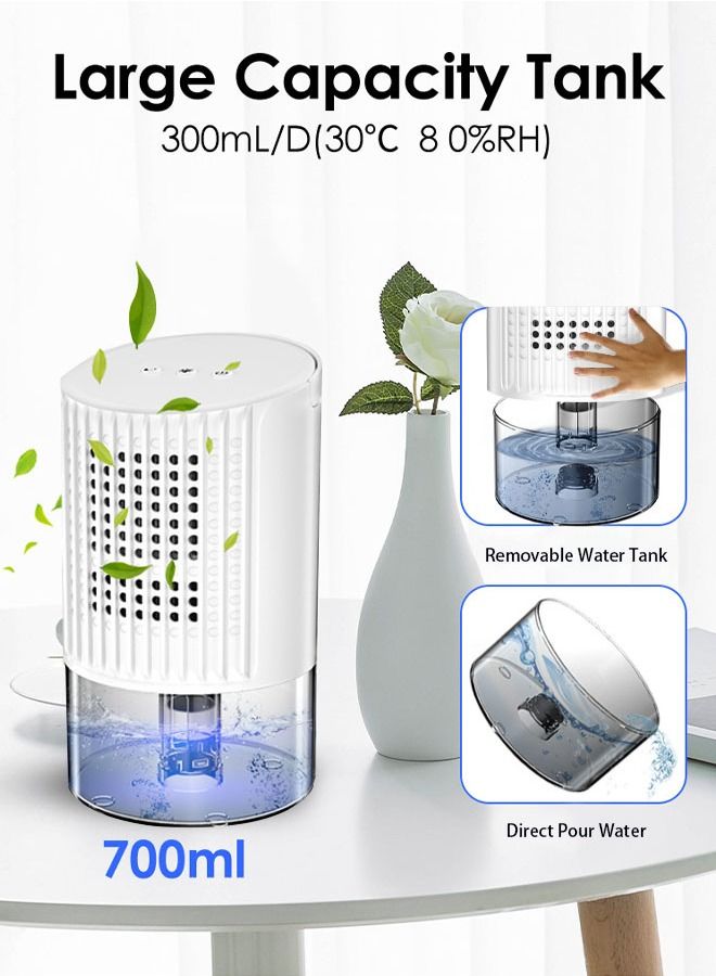 Dehumidifier, Auto-Off Small Dehumidifier Compact and Portable Mini Dehumidifier for Basement, Bathroom, Garage, Wardrobe, RV and Room(White)