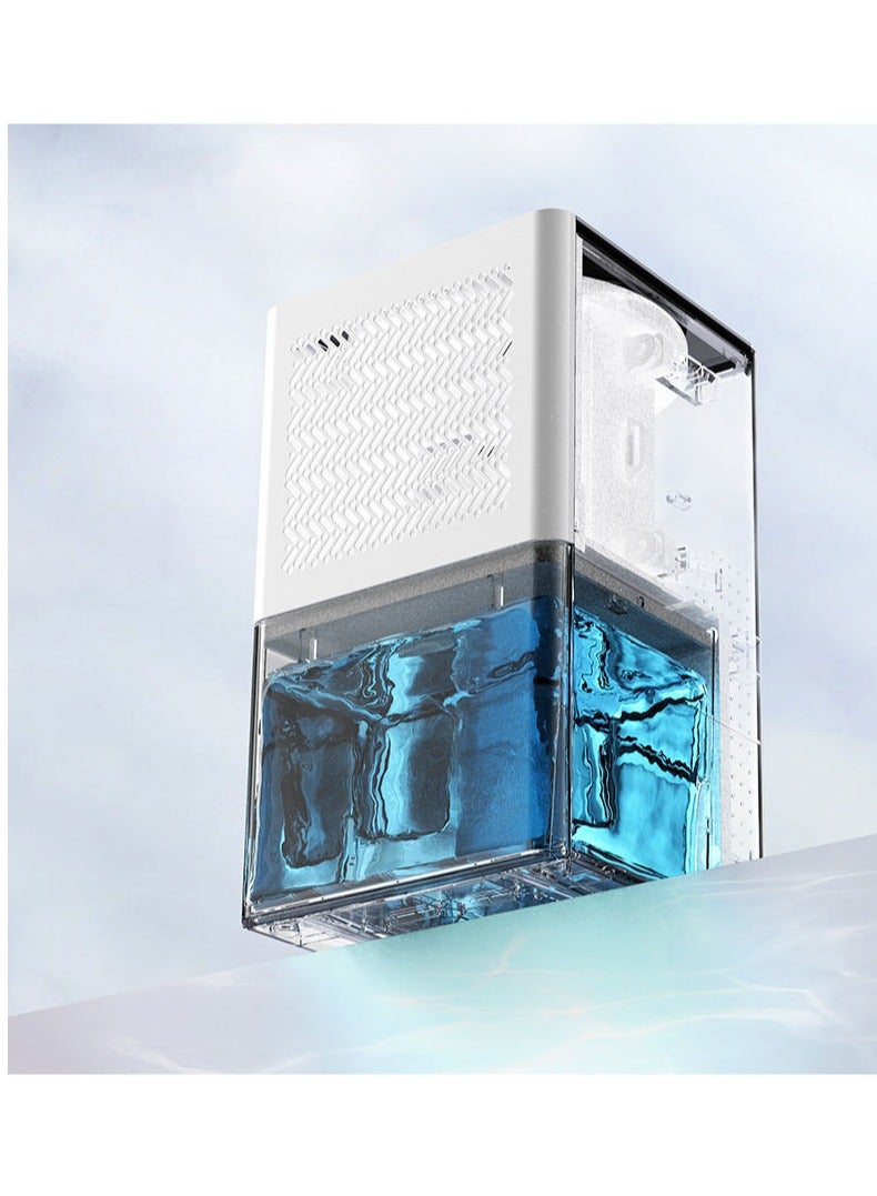 Damp Rid Small Dehumidifier for Home, Bedroom, Basement, Bathroom, Efficient Air Dehumidification and Drying