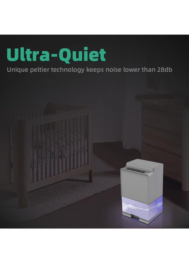 Dehumidifiers for Home,1000ml Dehumidifier, Auto Shut Off and 7 Colours LED Light, Ultra-quiet, Energy-saving Dehumidifier for Drying Clothes, Bedroom, Bathroom, Wardrobe,Garage