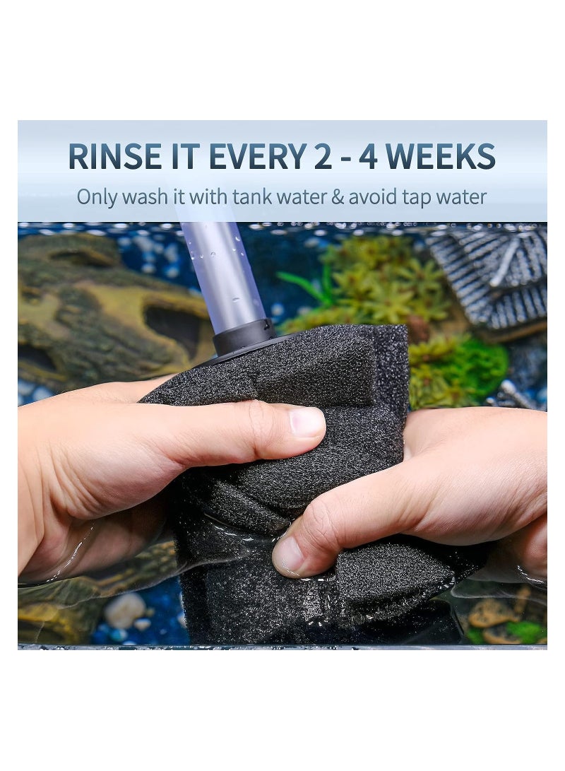 Aquarium Fish Tank Biochemical Cotton Filter, Nano Bio Sponge Filter, Quiet Betta Fry Shrimp and Small Fish Foam Filter, for Fish Tank Up to 60 Gallon, Water Fairy Cotton 3 Pack, XY-380
