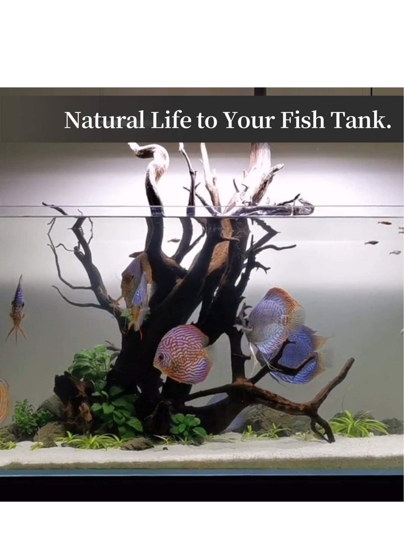Natural Coral Driftwood for Aquarium Decor Fish Tank Decorations, Assorted Driftwood Branch 15-20cm 3 Pcs, Reptile Decor