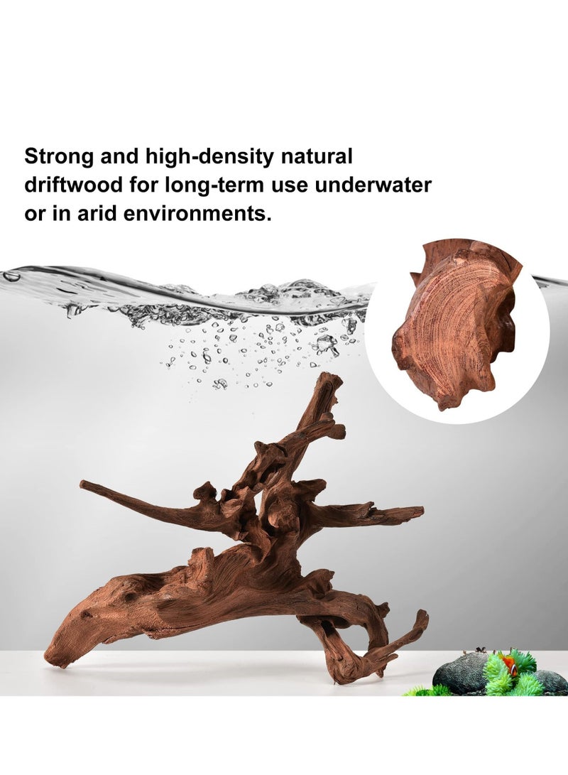 Natural Coral Driftwood for Aquarium Decor Fish Tank Decorations, Assorted Driftwood Branch 15-20cm 3 Pcs, Reptile Decor