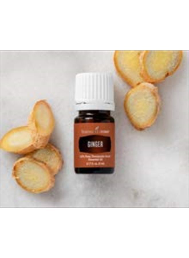 Ginger Essential Oil 5ml by Young Living Essential Oils