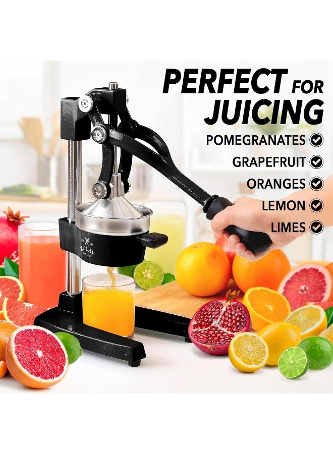 Zulay Professional Citrus Juicer - Manual Citrus Press And Orange Squeezer - Metal Lemon Squeezer - Premium Quality Heavy Duty Manual Orange Juicer And Lime Squeezer Press Stand