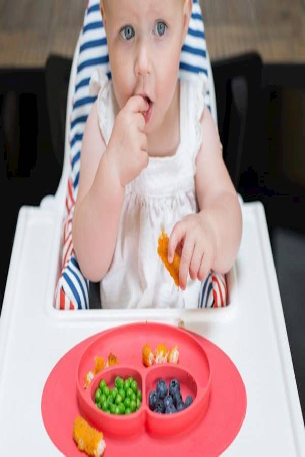 Silicone Feeding Food Plate Tray Dishes Food Holder