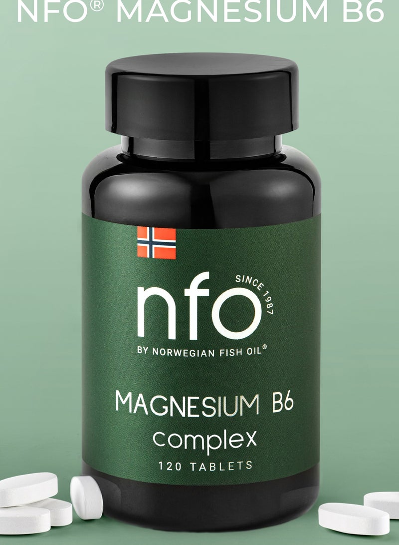 NFO MAGNESIUM B6 [120 Tablets]