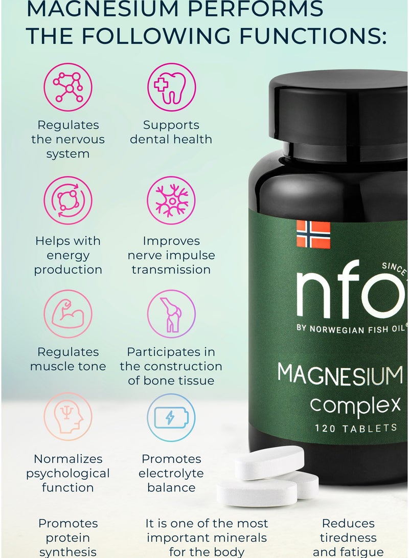 NFO MAGNESIUM B6 [120 Tablets]