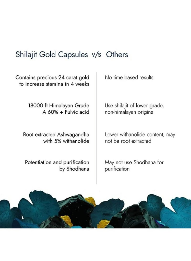 Shilajit Gold 60 Capsules