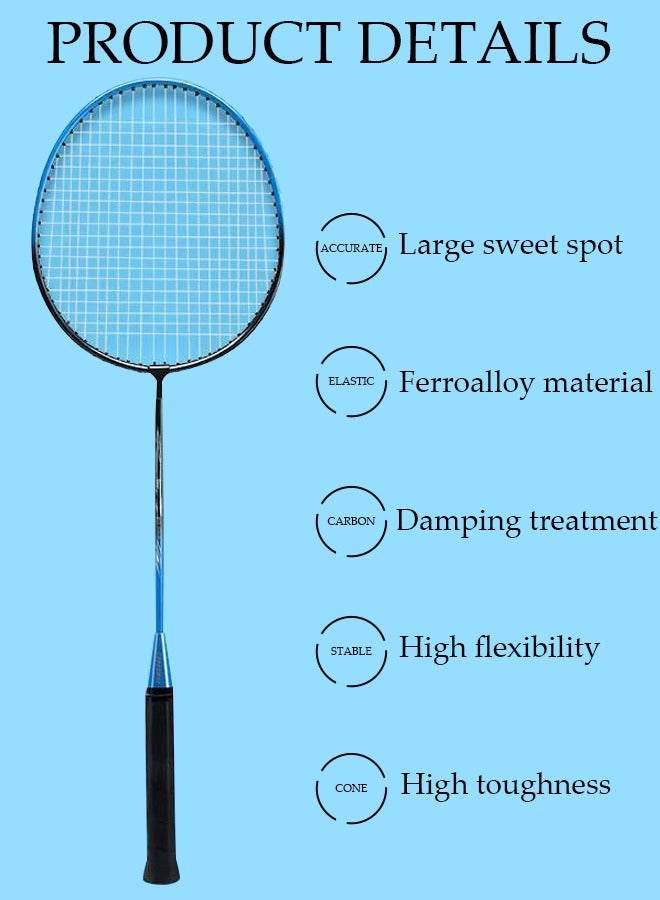 Badminton Rackets Set 2 Player Badminton Rackets Lightweight Badminton Racquet with 2 Shuttlecocks and 1 Carrying Bag,Badminton Backyard Games for Outdoor,Garden,Beach,Family Fun Game